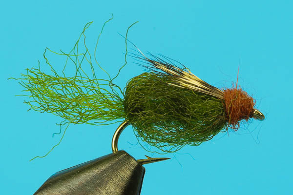 Emergent Sparkle Pupa