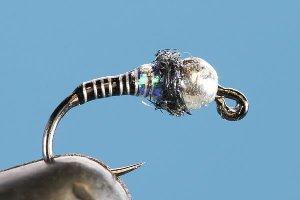 Euro Copper Zebra-Tungsten (Barbless)