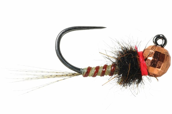 Euro Jig - Umpqua (Barbless)