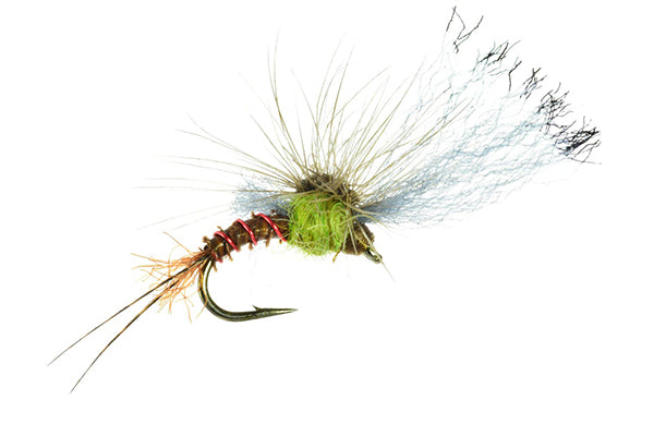 Film Critic - Umpqua