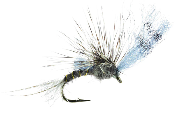 Film Critic - Umpqua