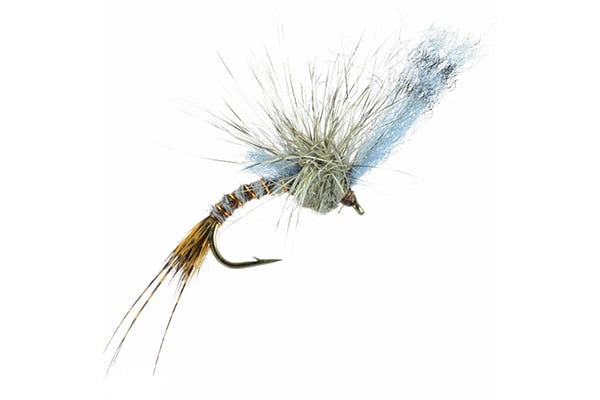 Film Critic - Umpqua