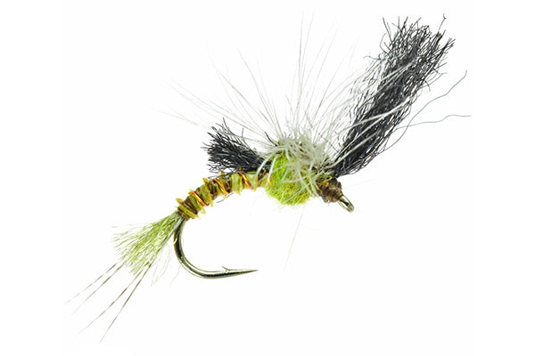 Film Critic - Umpqua