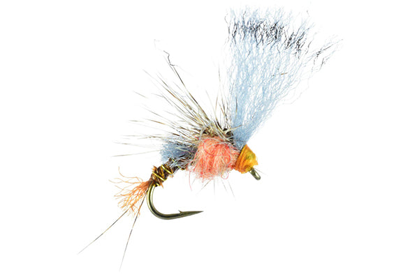 Film Critic - Umpqua