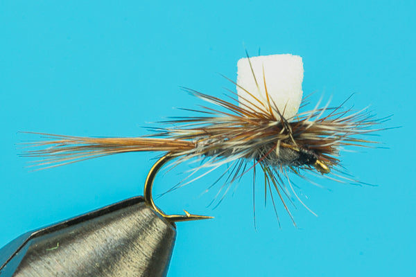 Foam Wing Para Biot Adams