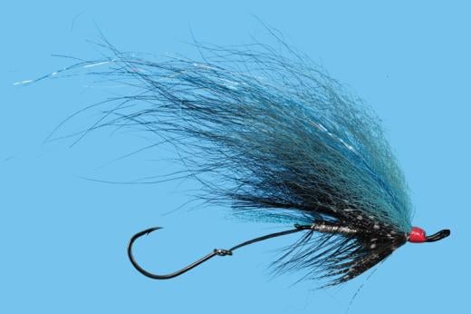 Foxee Dog - Solitude