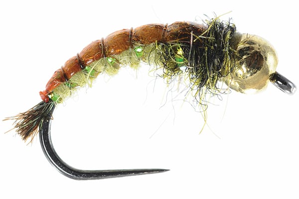 GTI Caddis Egan's - Umpqua (Barbless)