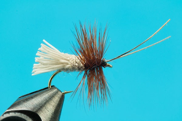 Goddard Caddis