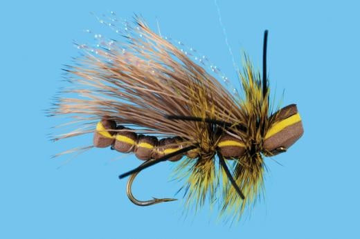 Golden Half Cocked - Solitude