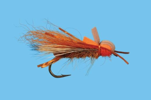 Larimer's Golden Stone - Solitude