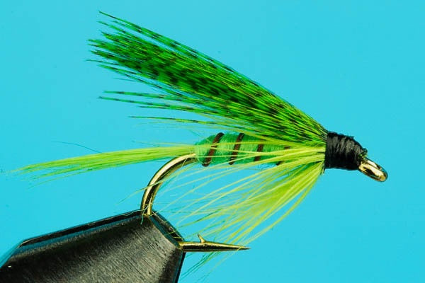 Green Drake Wet Fly