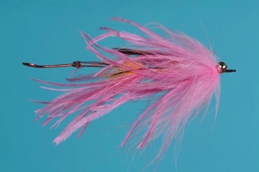 Guide Intruder - Solitude