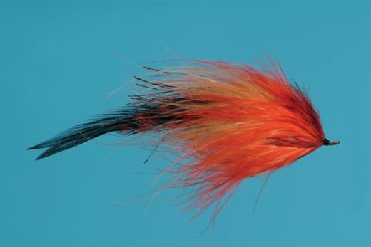 Haley's Comet - Solitude