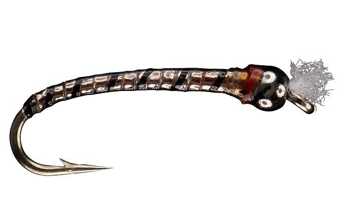 Hangin w/my Chromies - RIO