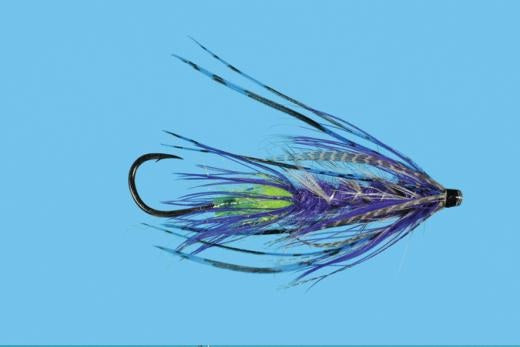 Hobit Spey - Solitude