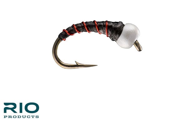 Ice Cream Cone - RIO