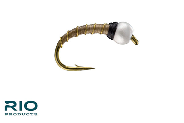 Ice Cream Cone - RIO