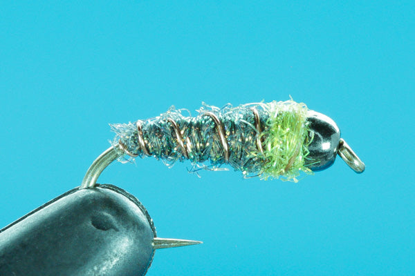 Iced Cased Caddis - Tungsten