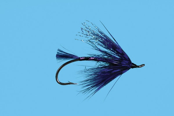 Jack's Train Wreck - Solitude