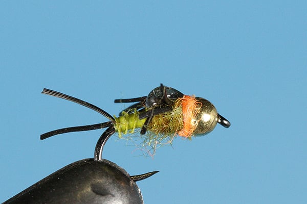 Little Olive - Tungsten