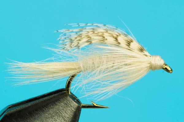 Light Cahill Wet Fly