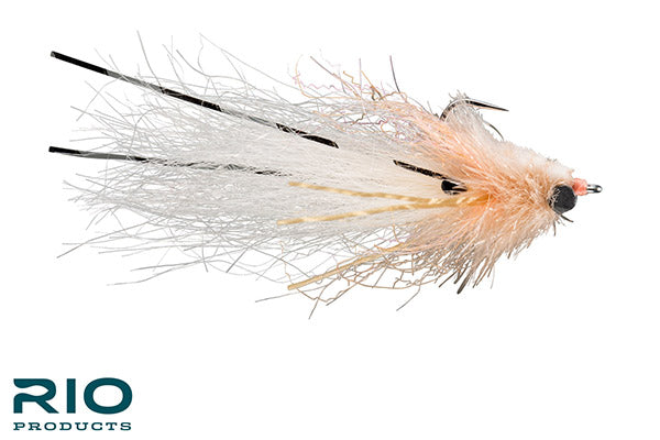 Liquid Courage - RIO