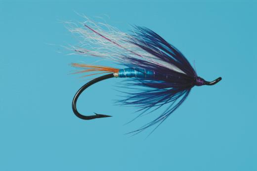 Low Water Fierce Allegiance - Solitude