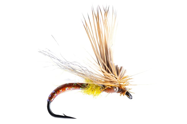 Missing Link Mercer's - Umpqua