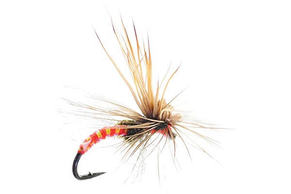 Missing Link Mercer's - Umpqua