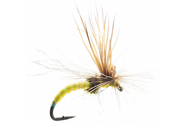 Missing Link Mercer's - Umpqua