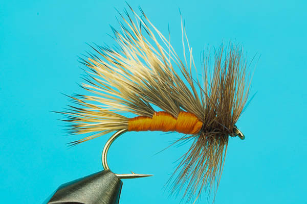 October Caddis