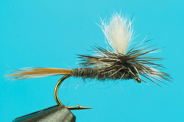 Parachute Adams dry fly for trout fishing – Littlebrightmarkets
