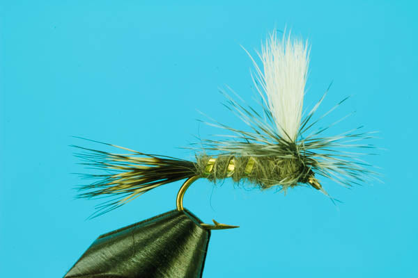 Parachute Hare's Ear