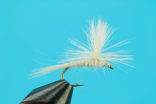 Parachute Light Cahill