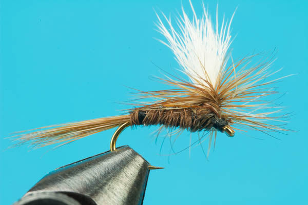 Parachute Pheasant Tail