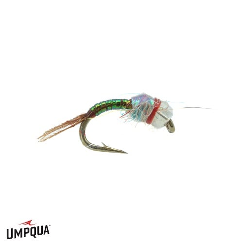 Rainbow Warrior - Beadhead - Umpqua