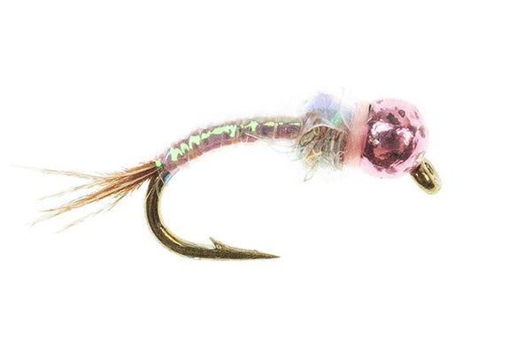 Rainbow Warrior Tungsten - Umpqua
