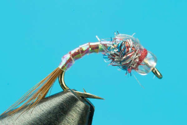 Rainbow Warrior - Beadhead