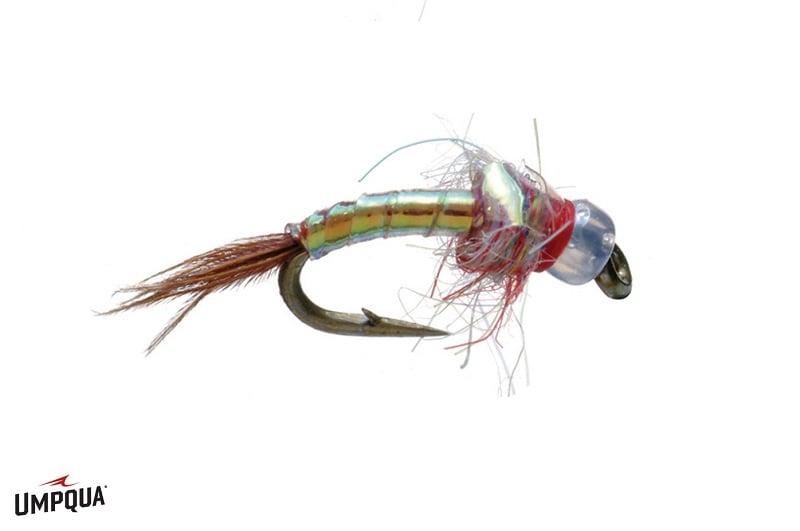 Rainbow Warrior - Beadhead - Umpqua