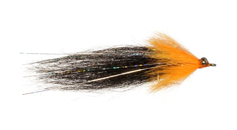 CF Whistler - Rainy's