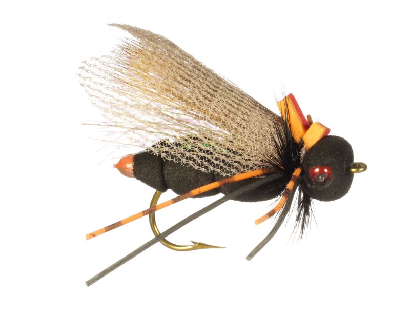 Ultimate Cicada - Rainy's