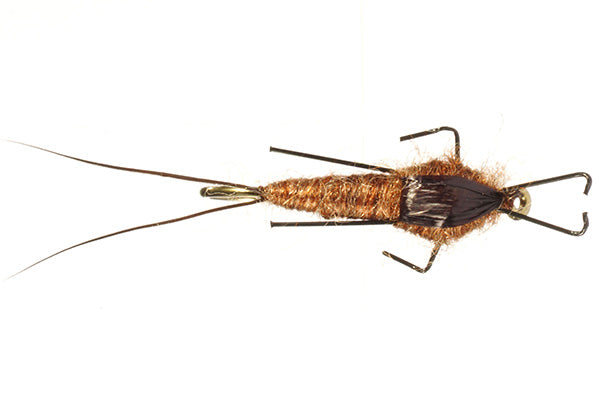 Real Meal Nymph -Rainy's