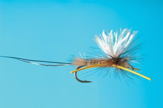 Sexy Hex (Glow in the Dark) - Solitude