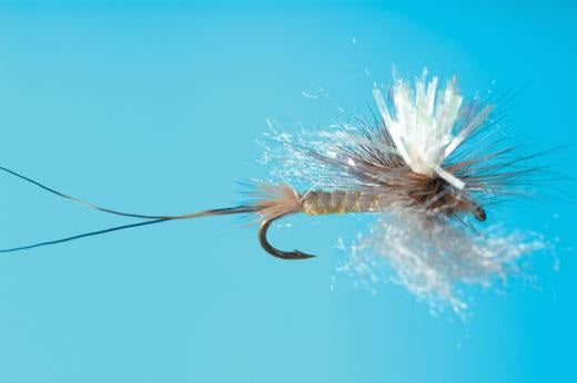 Sexy Hex Spinner (Glow in the Dark) - Solitude