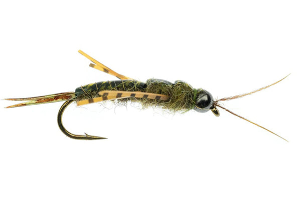 Skwala Stone Tungsten - Umpqua