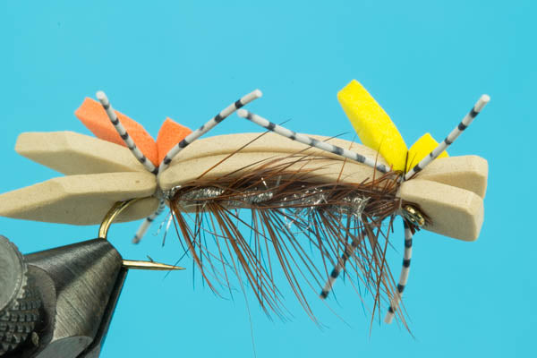 South Fork Chernobyl Ant