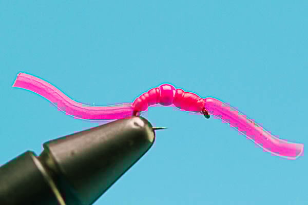 Squirmy Wormy Euro - Tungsten (Barbless)