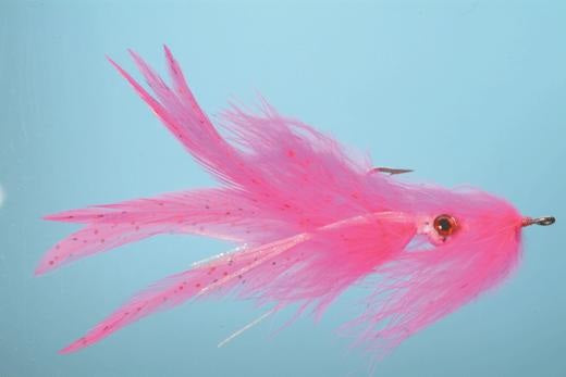 Squirt Squid - Solitude