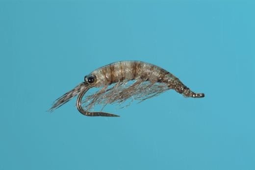 Stalcup's Ultra Scud - Solitude