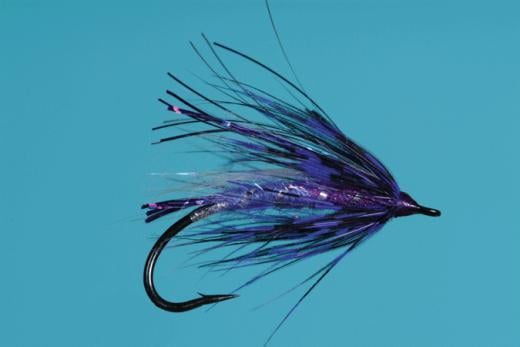 Summer Run - Solitude